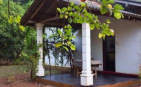 Senu Homestay