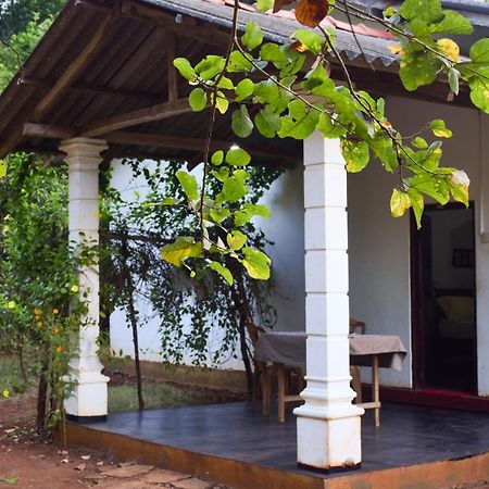 Senu Homestay Sigiriya Exterior foto