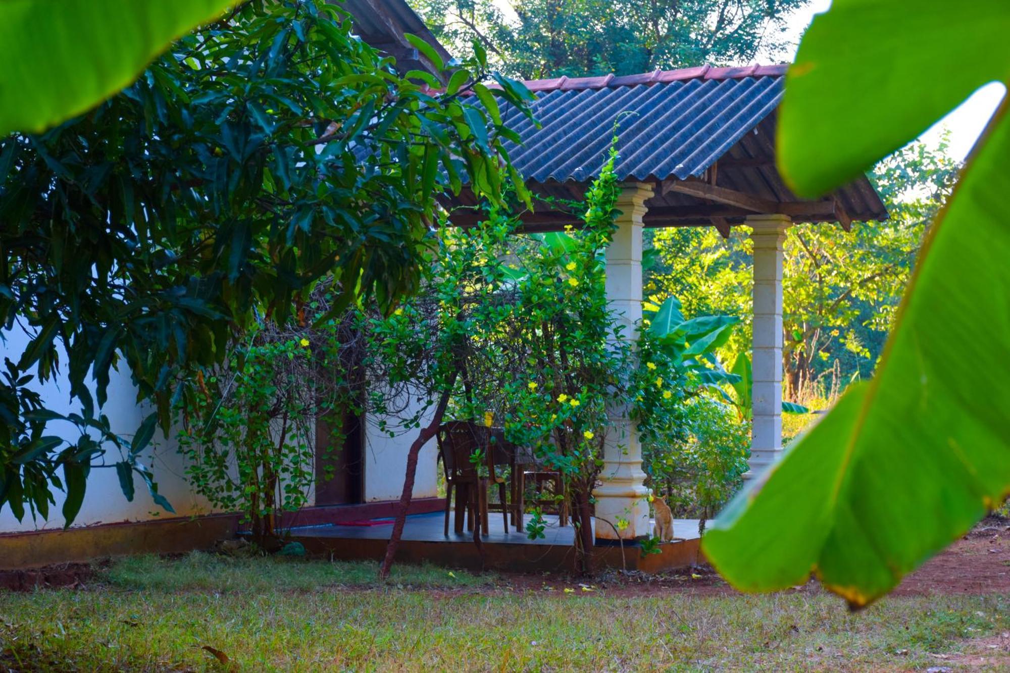 Senu Homestay Sigiriya Exterior foto