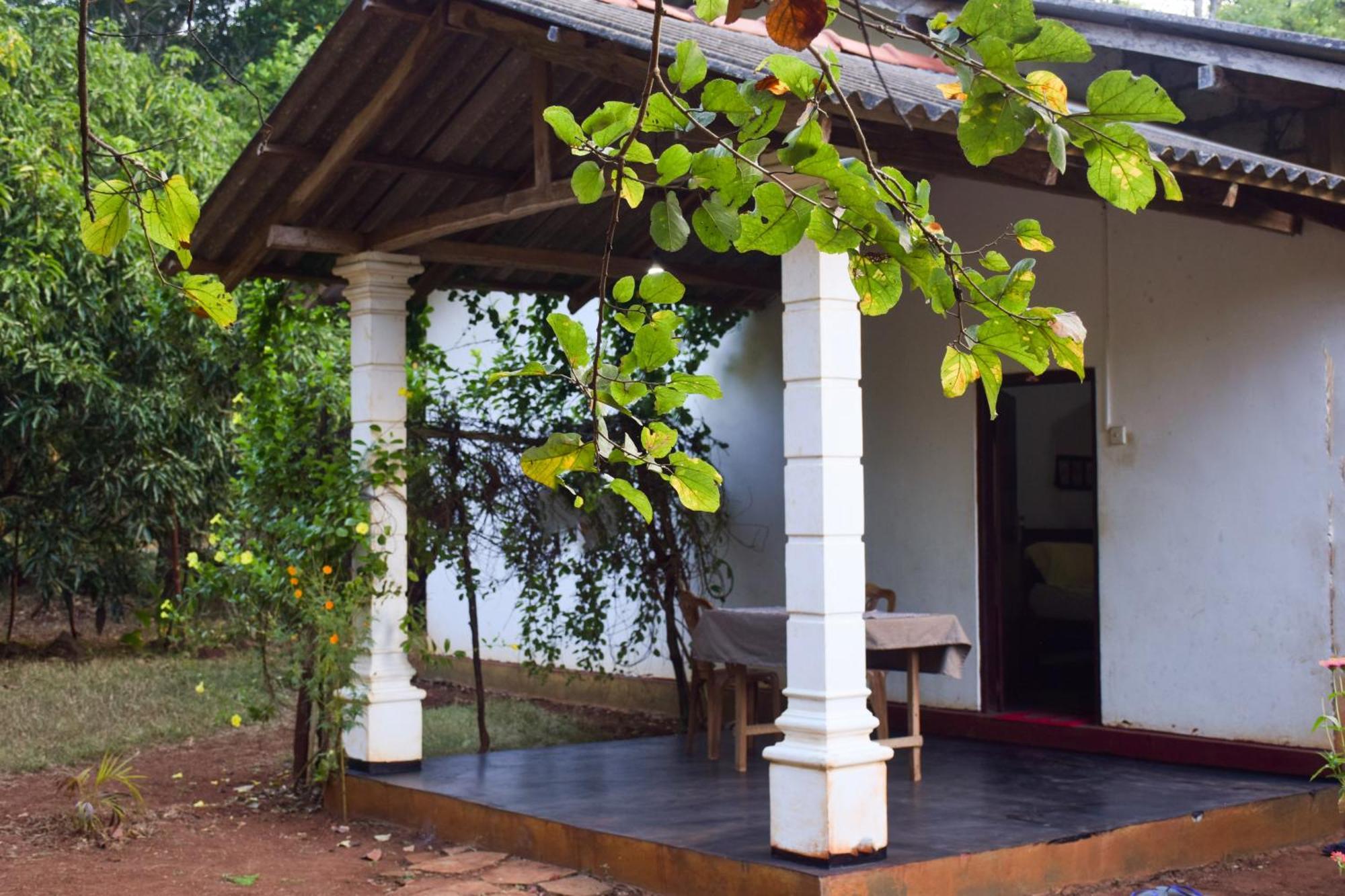 Senu Homestay Sigiriya Exterior foto
